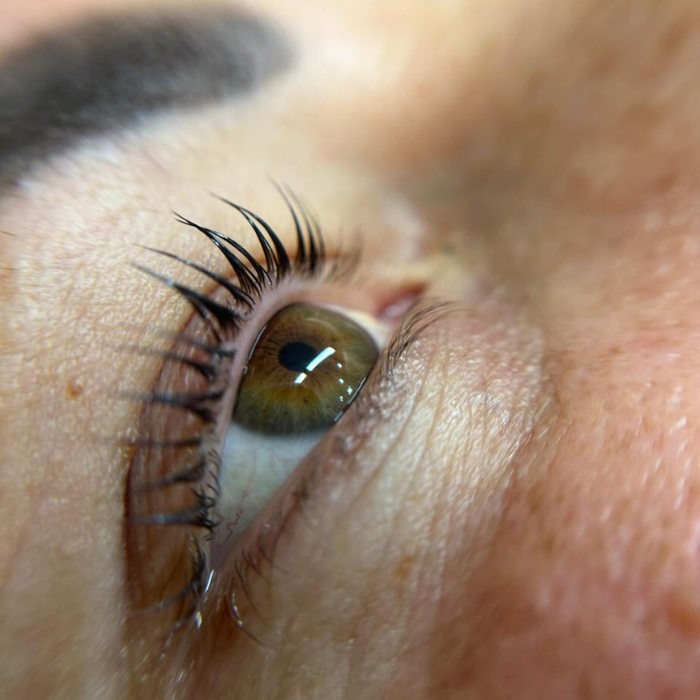 Diseño sin título - 2025-08-26T131037.420